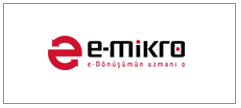 Mikro e-Dönüşüm